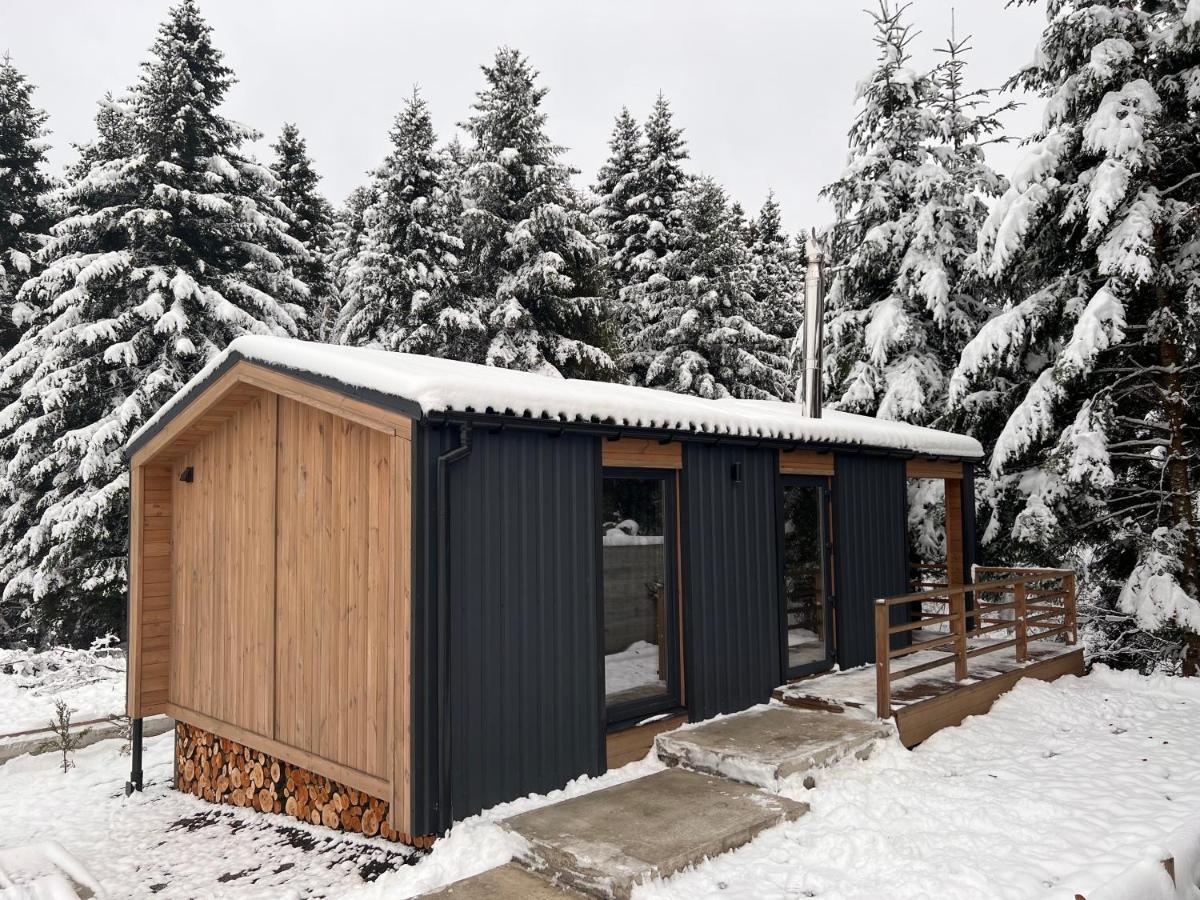 Парк-Готель Щастя Skhidnytsia Eksteriør billede