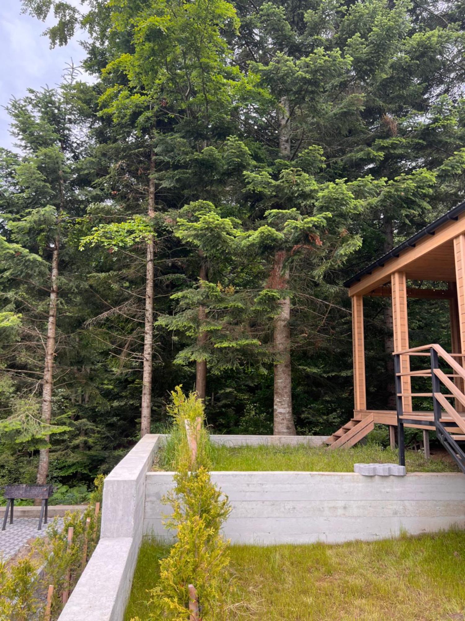 Парк-Готель Щастя Skhidnytsia Eksteriør billede